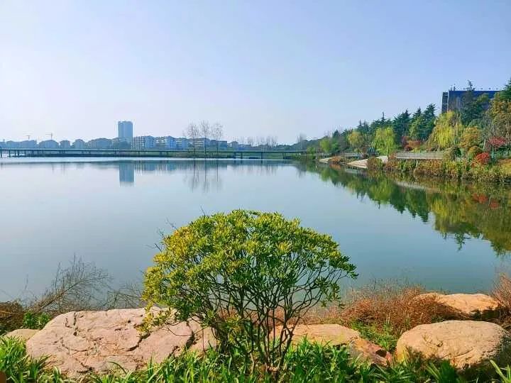 东风湖生态公园旅行图片 1