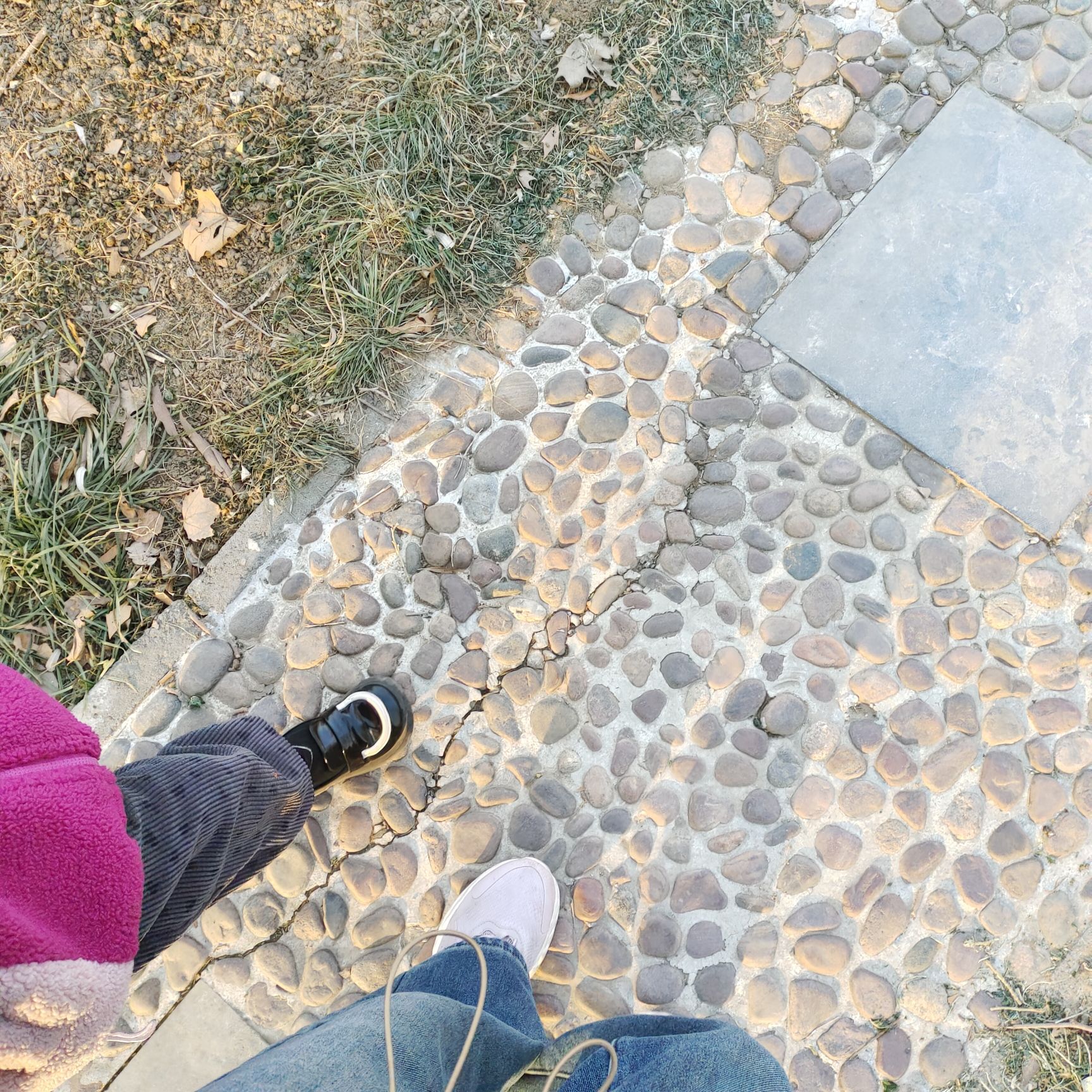 扁鹊公园旅行图片 1