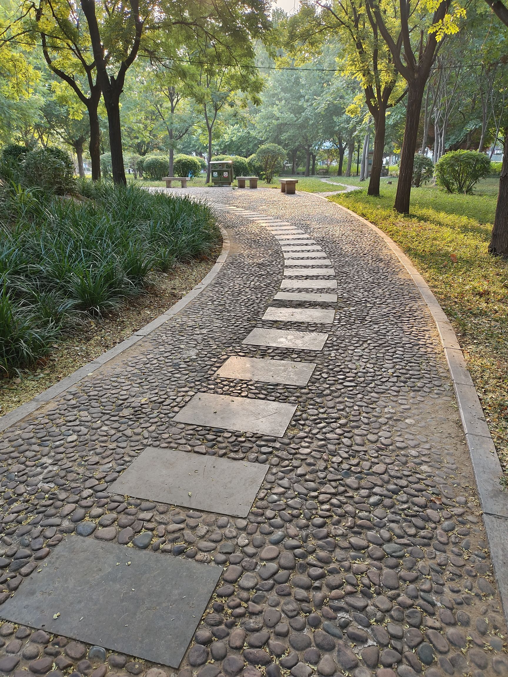 扁鹊公园旅行图片 3