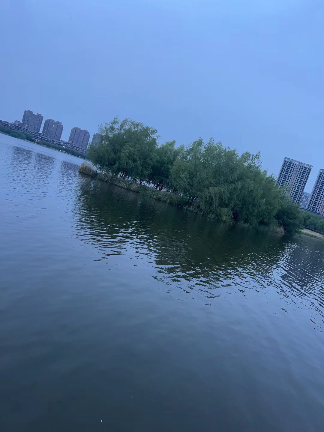 蒲河生态文化走廊(沈北新区)旅行图片 1