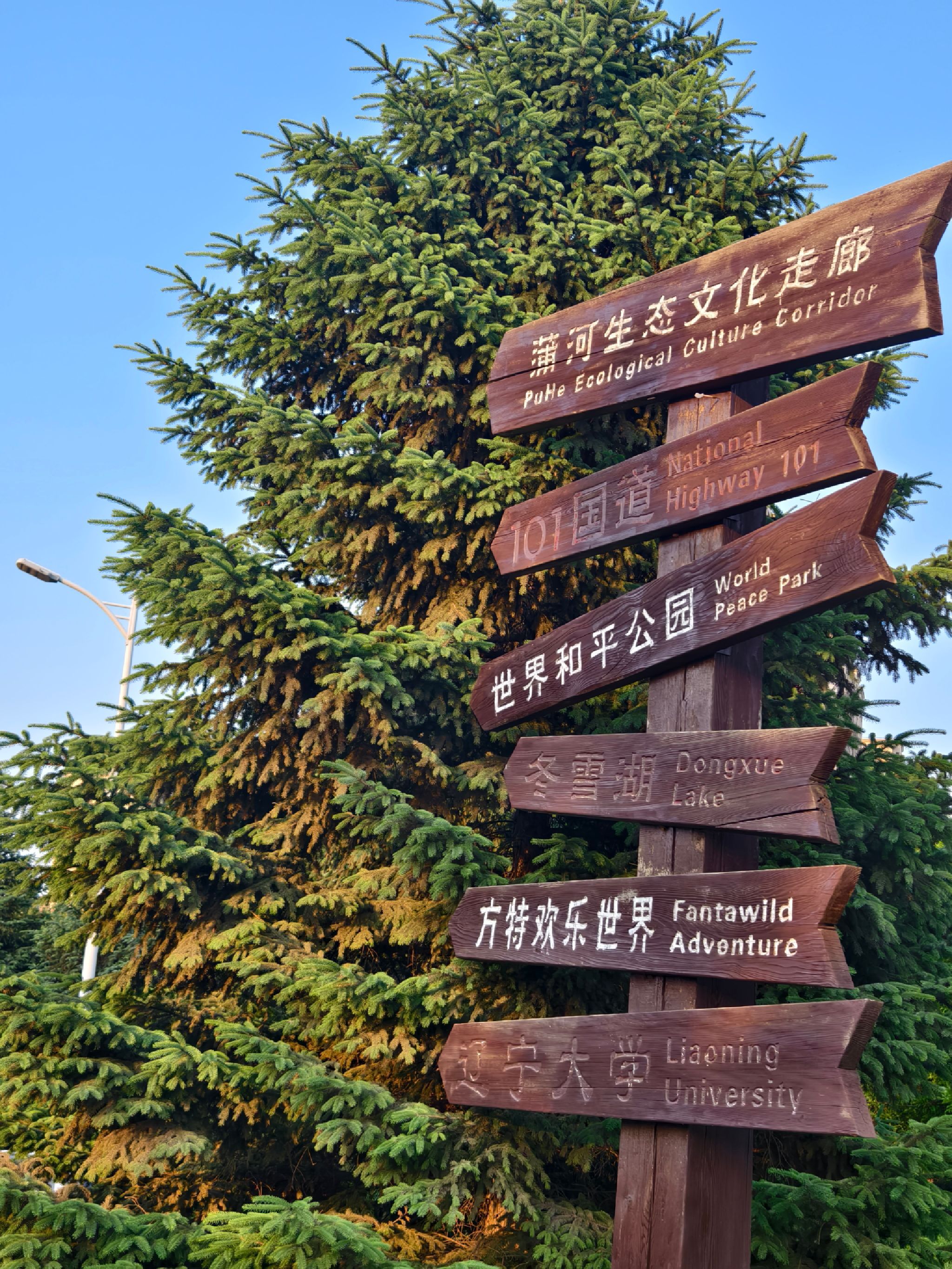 蒲河生态文化走廊(沈北新区)旅行图片 1