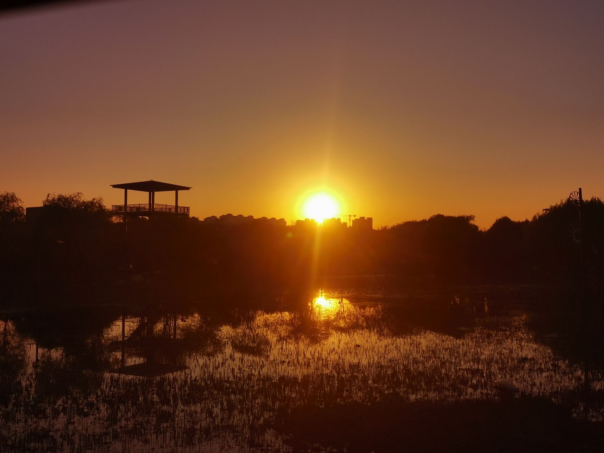 蠡州湿地公园旅行图片 1