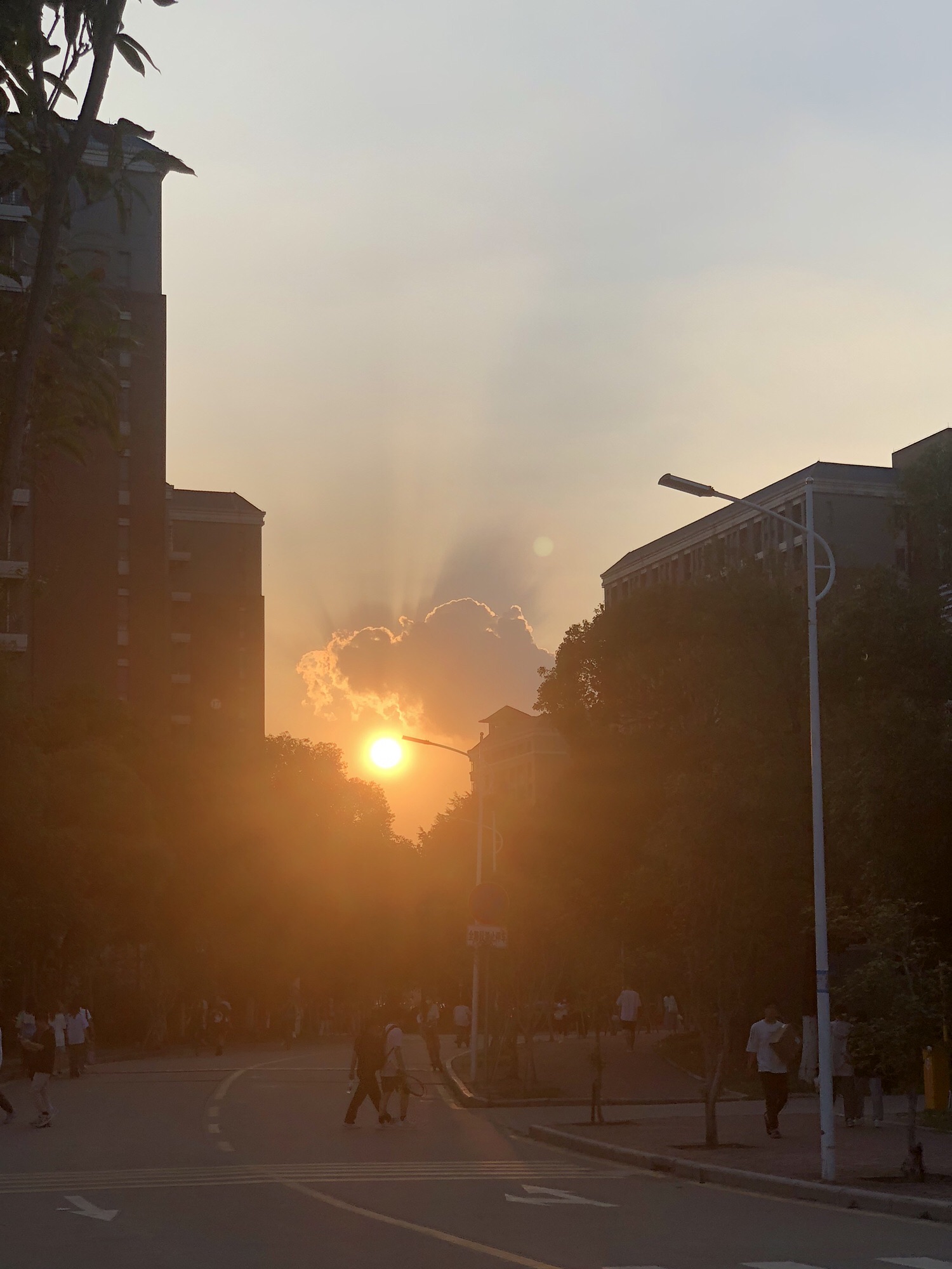 祥和公园旅行图片
