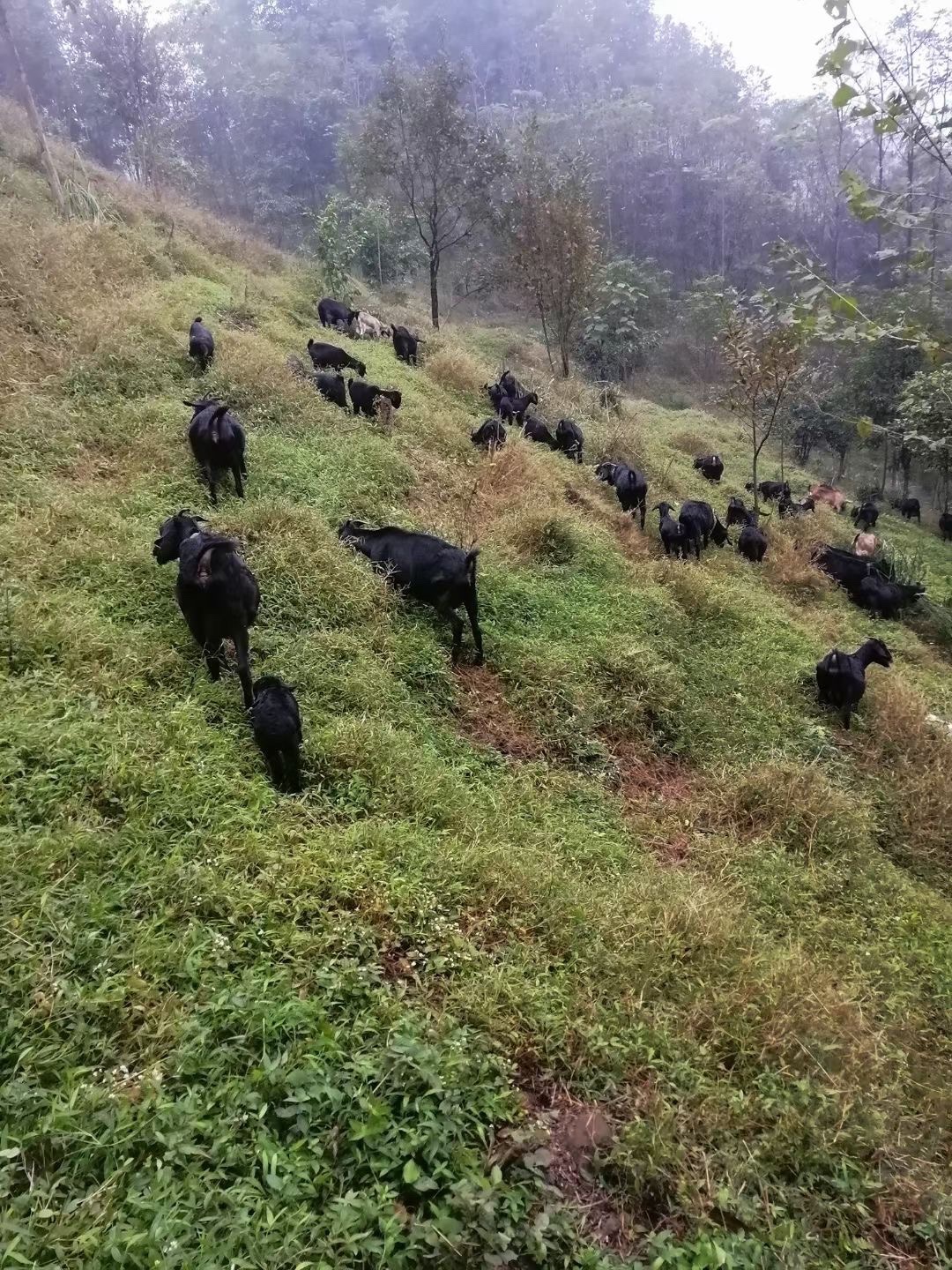 相约小桂林旅行图片 1