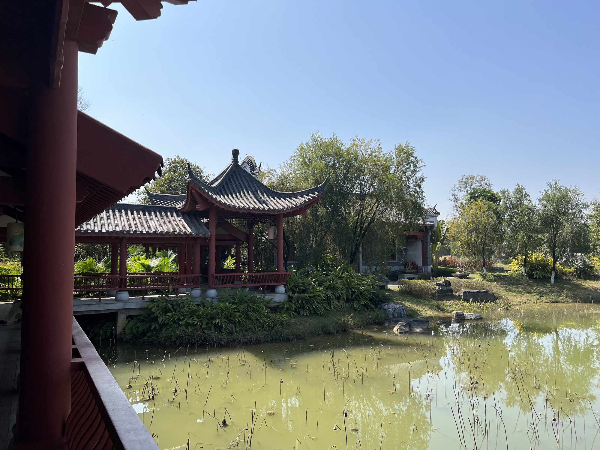 贵港市园博园旅行图片 2