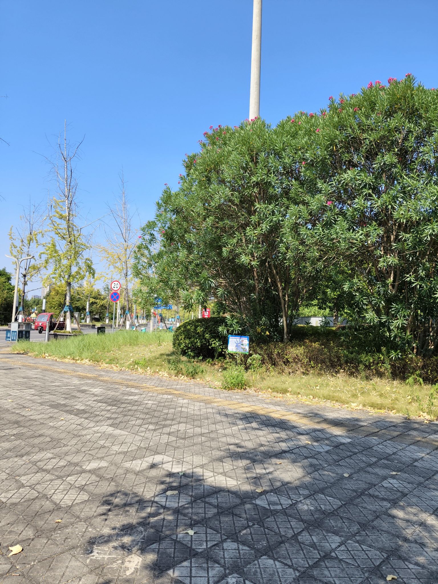 市民公园旅行图片 3