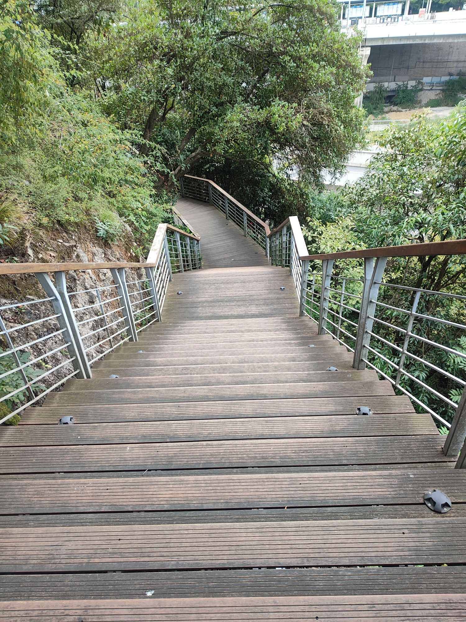 贵阳市南垭山体公园旅行图片 1