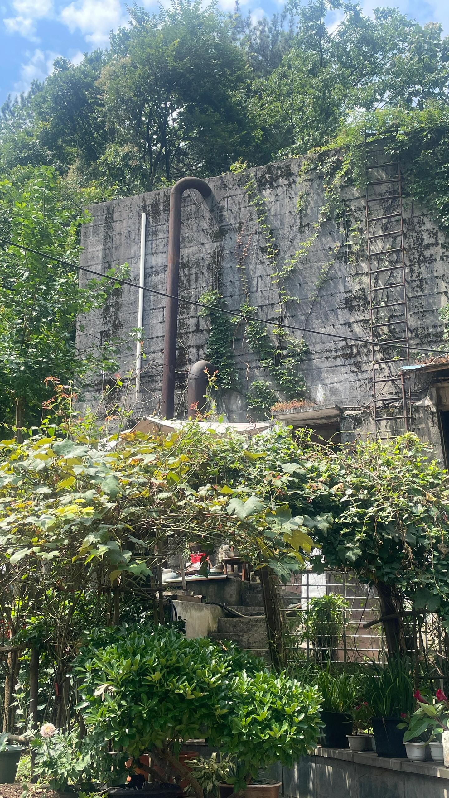 贵阳市南垭山体公园旅行图片 1
