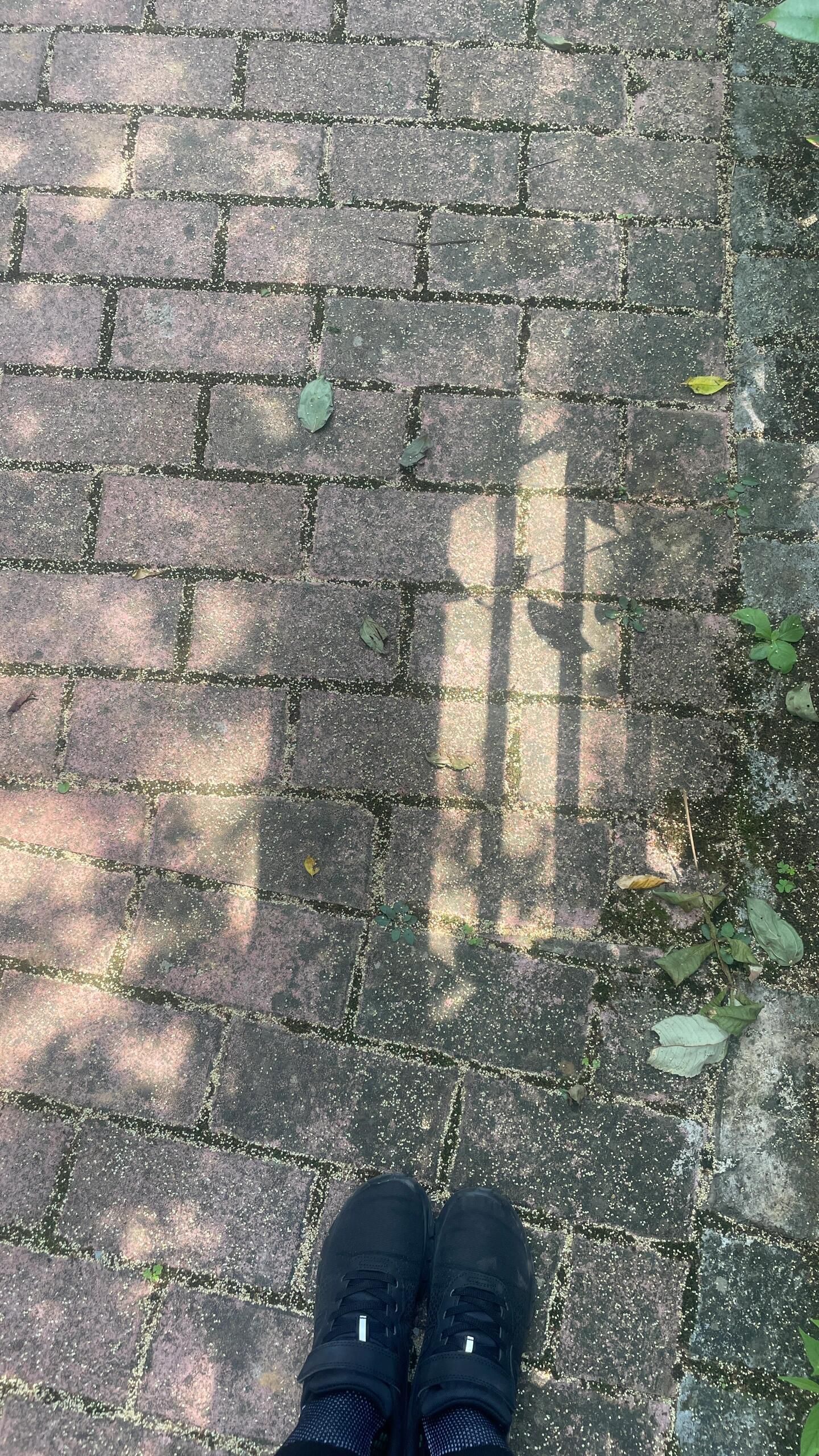 贵阳市南垭山体公园旅行图片 2