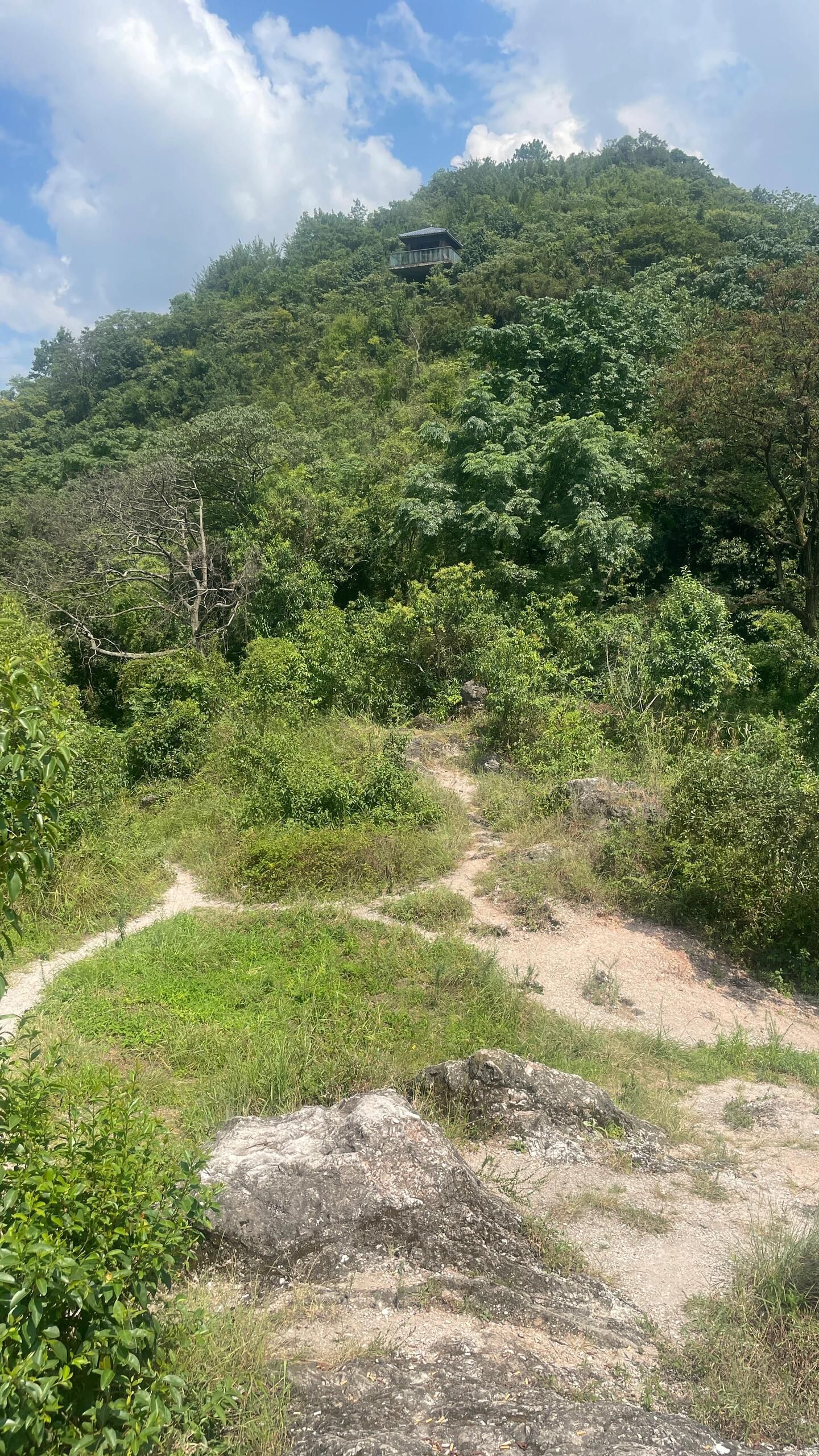 贵阳市南垭山体公园旅行图片 3