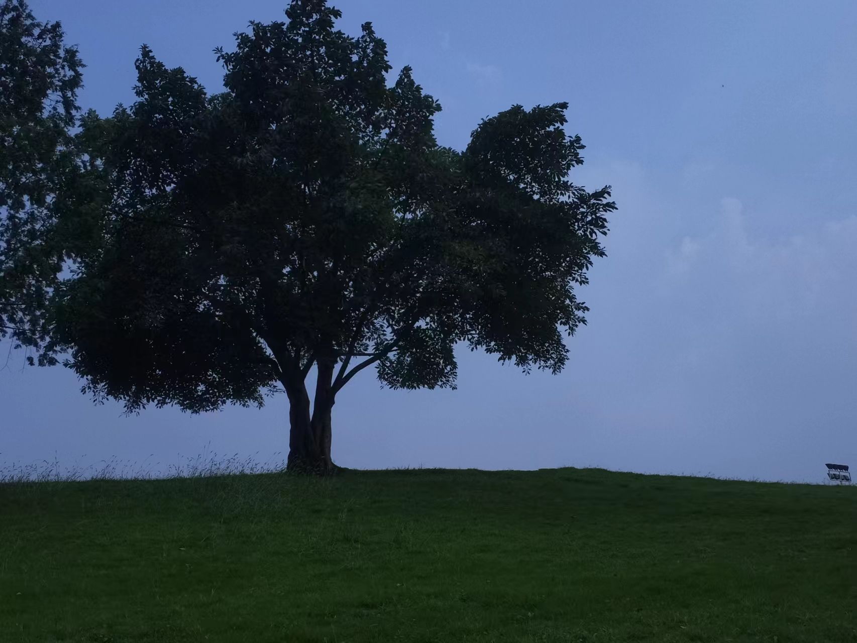 蓝湖郡体育公园旅行图片 1
