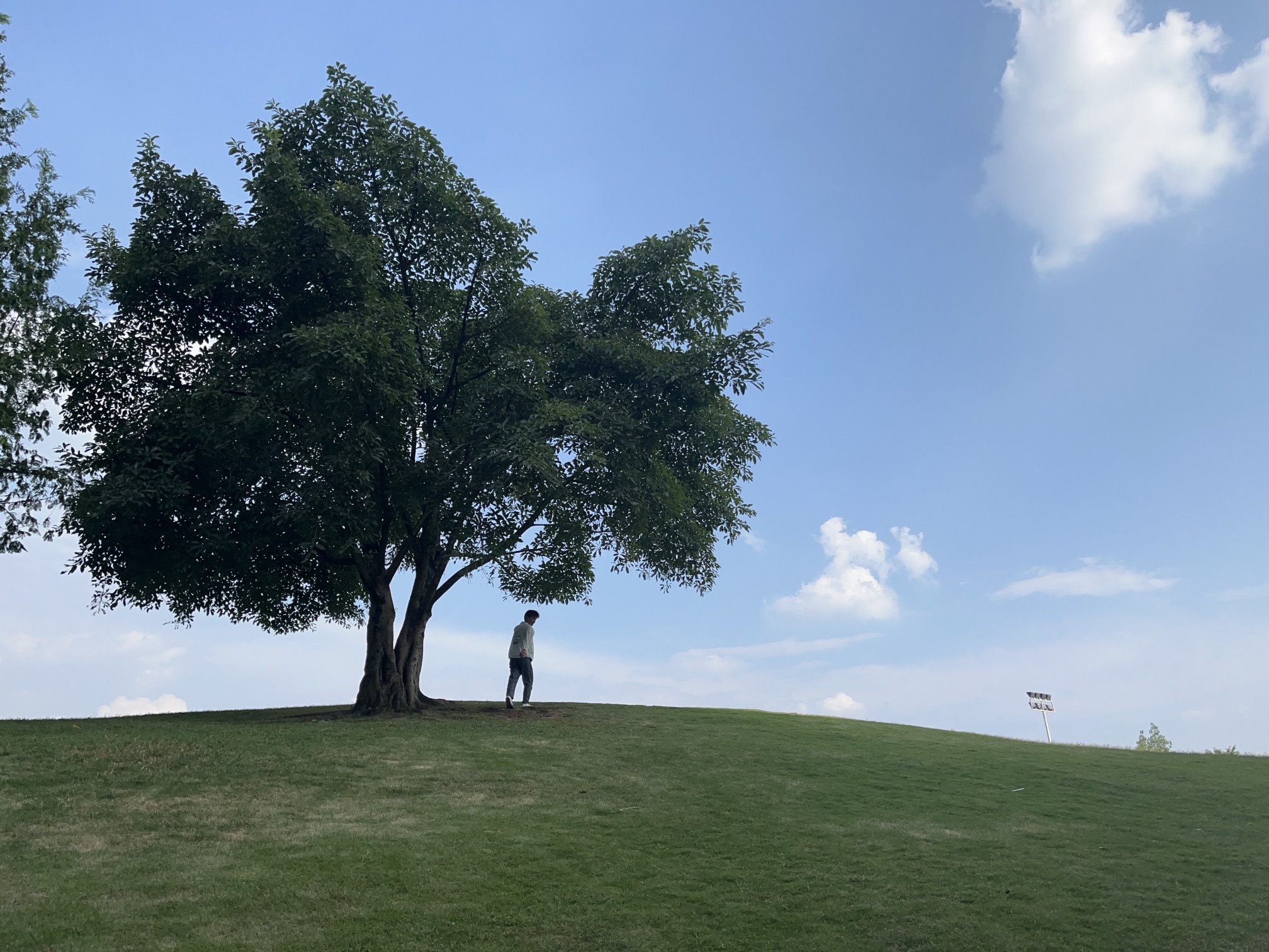 蓝湖郡体育公园旅行图片 1