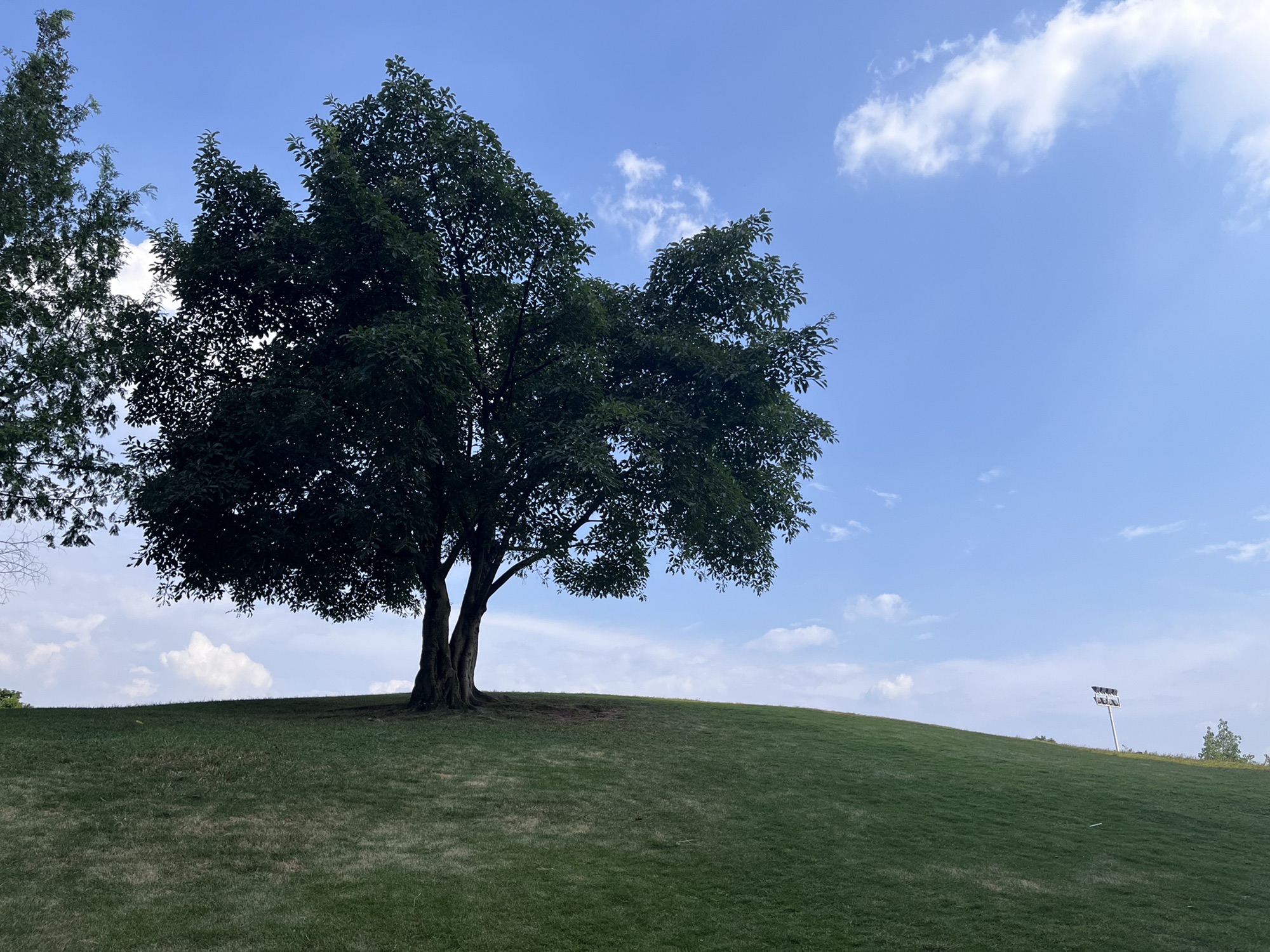 蓝湖郡体育公园旅行图片 2