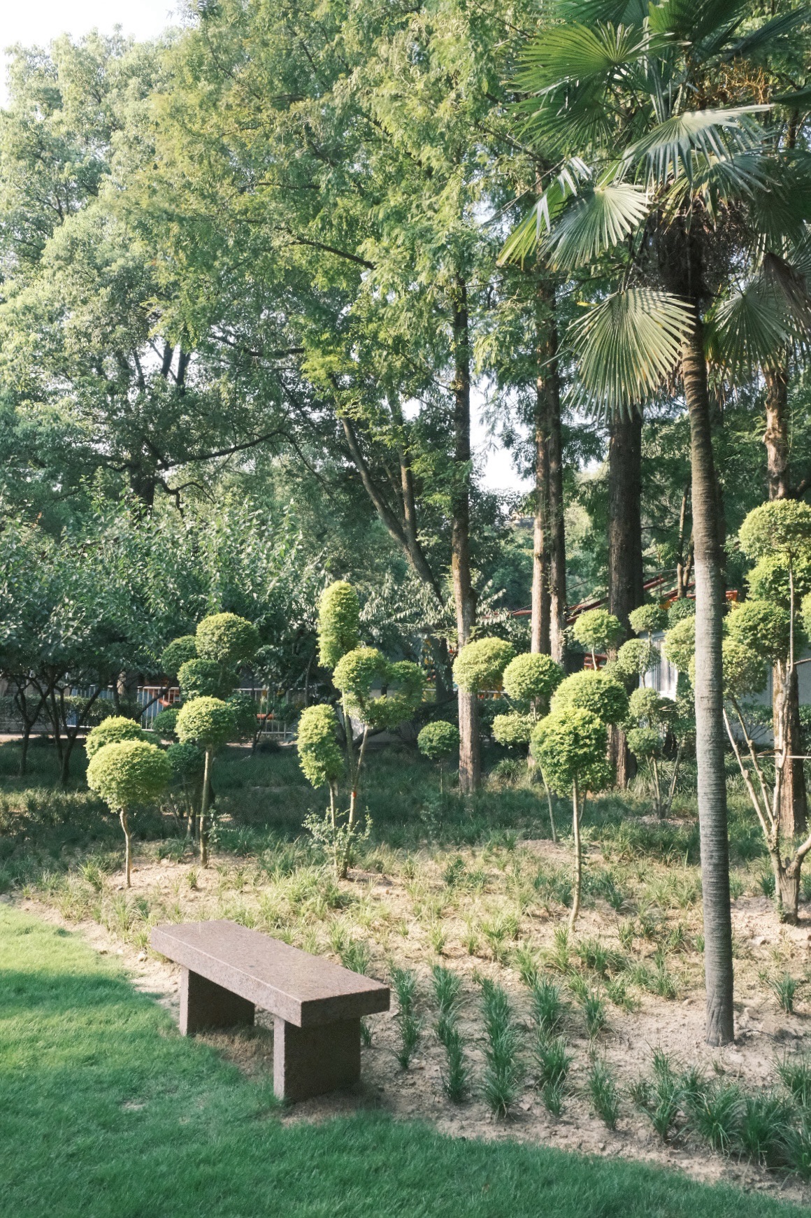 东山公园