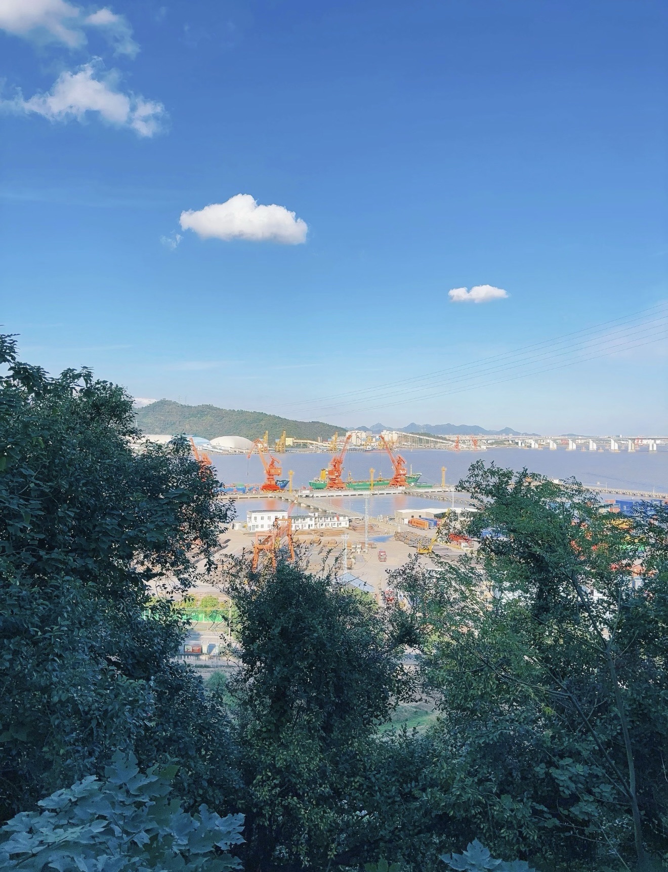 东山公园旅行图片 3