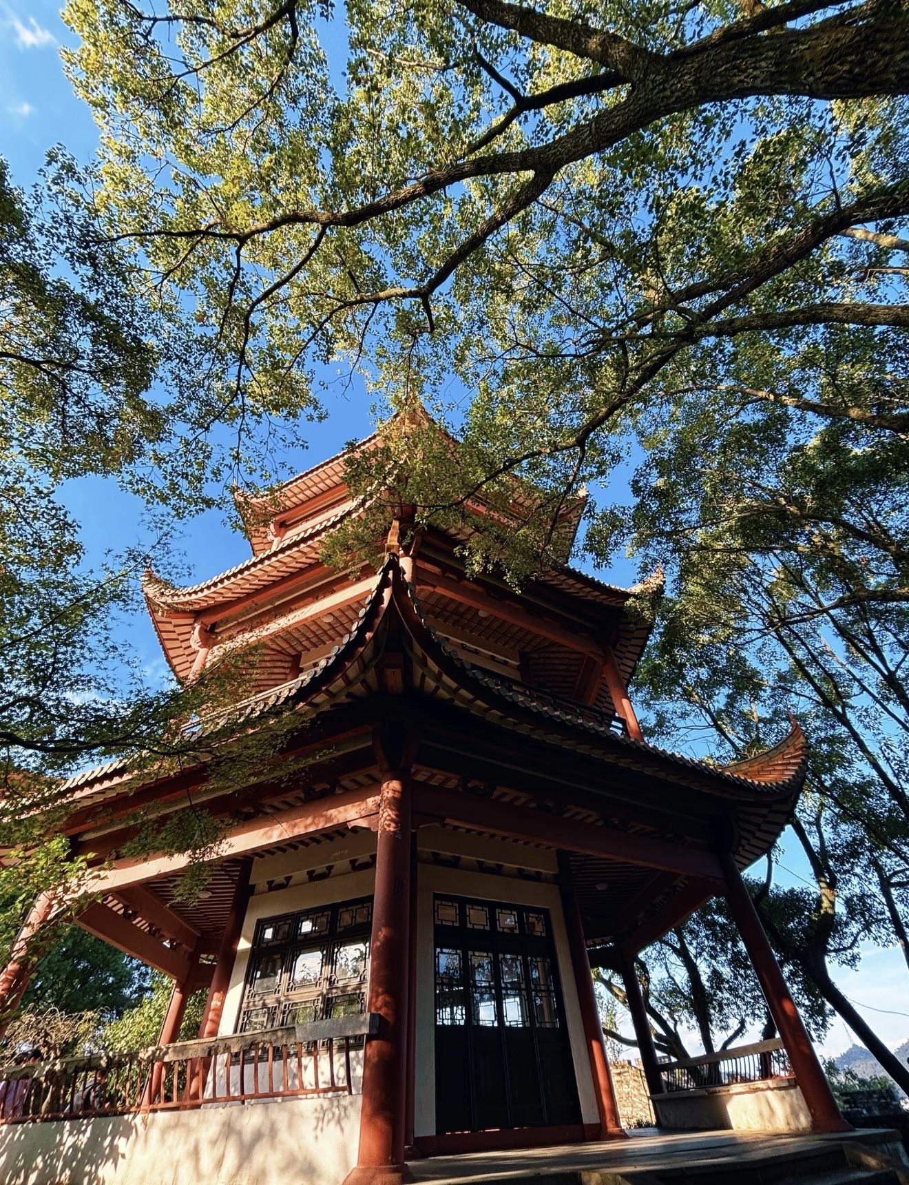 东山公园旅行图片 2