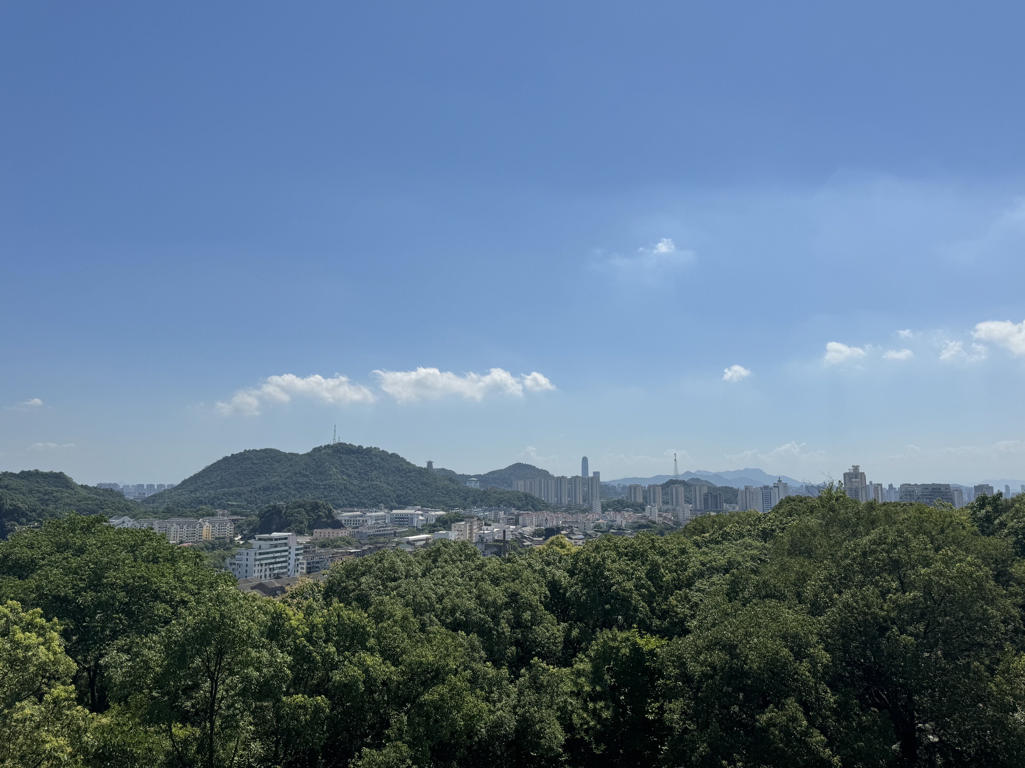 东山公园旅行图片 2