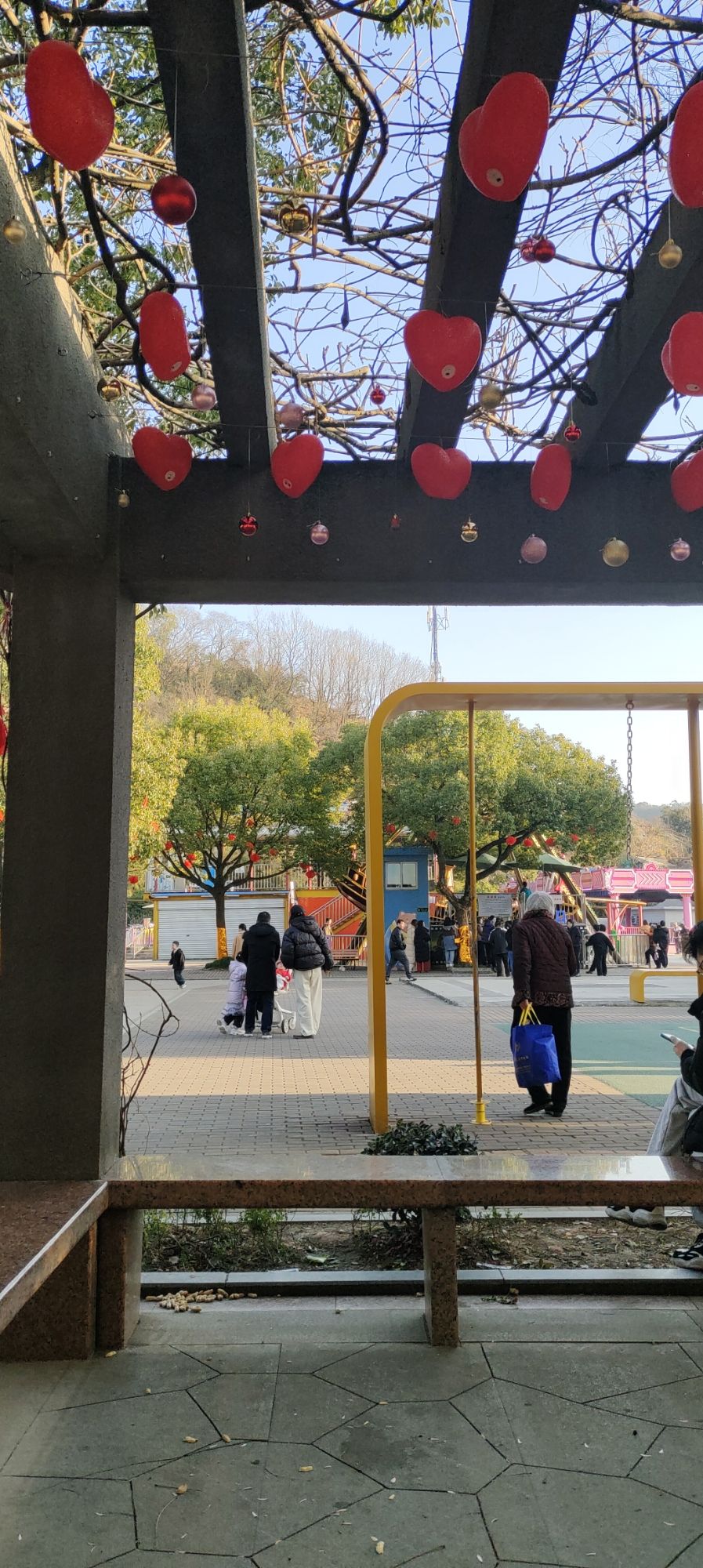东山公园旅行图片 2