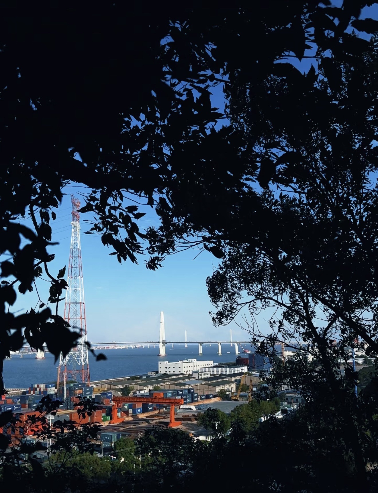 东山公园旅行图片 1