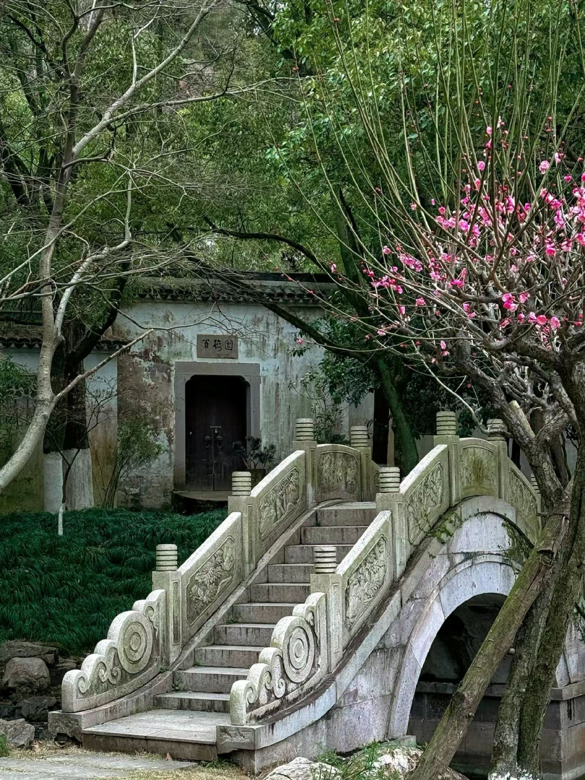 东山公园旅行图片 1