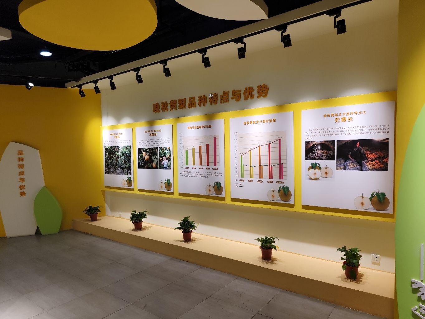 黄梨小镇旅行图片 3