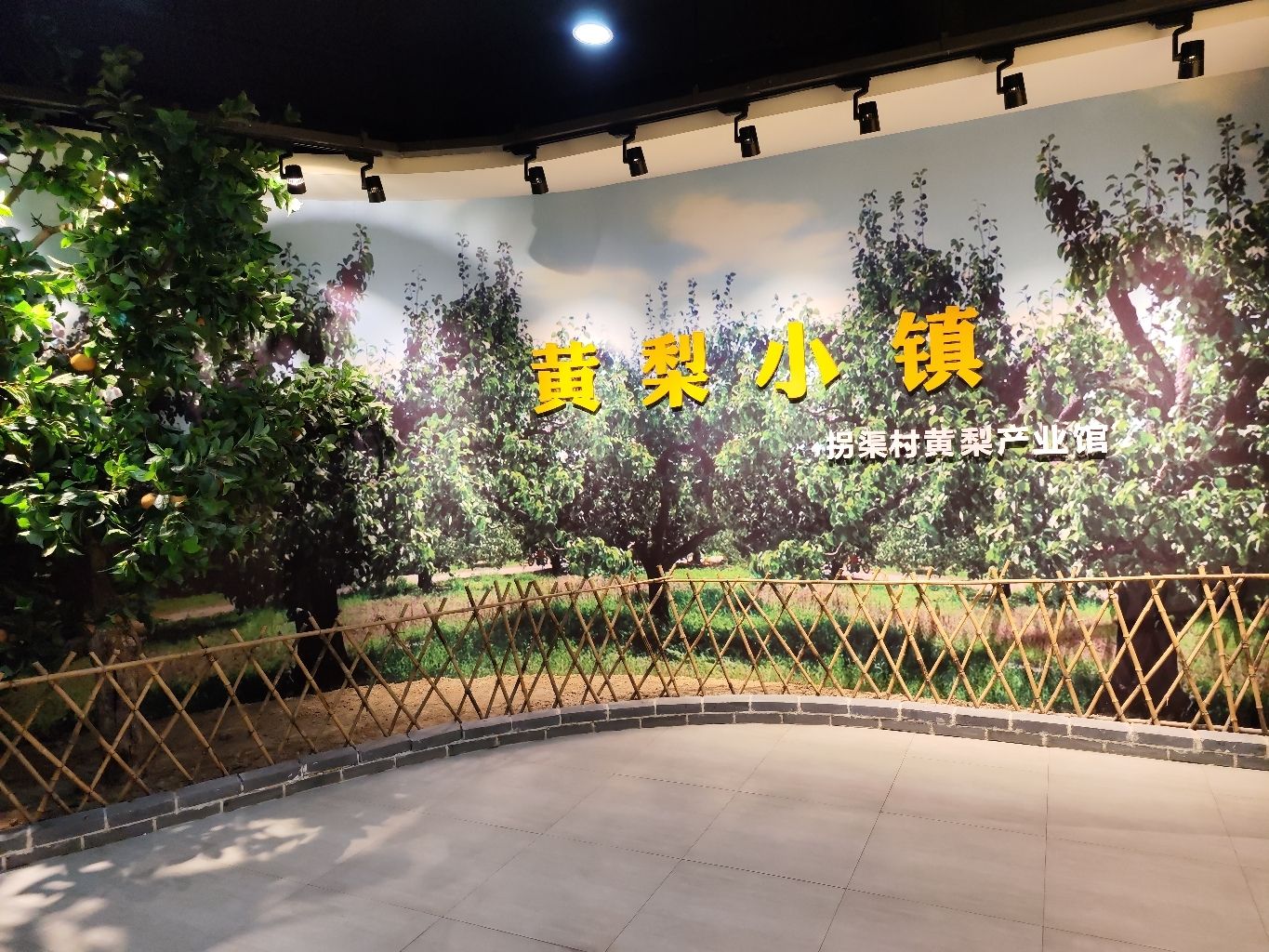 黄梨小镇旅行图片 2