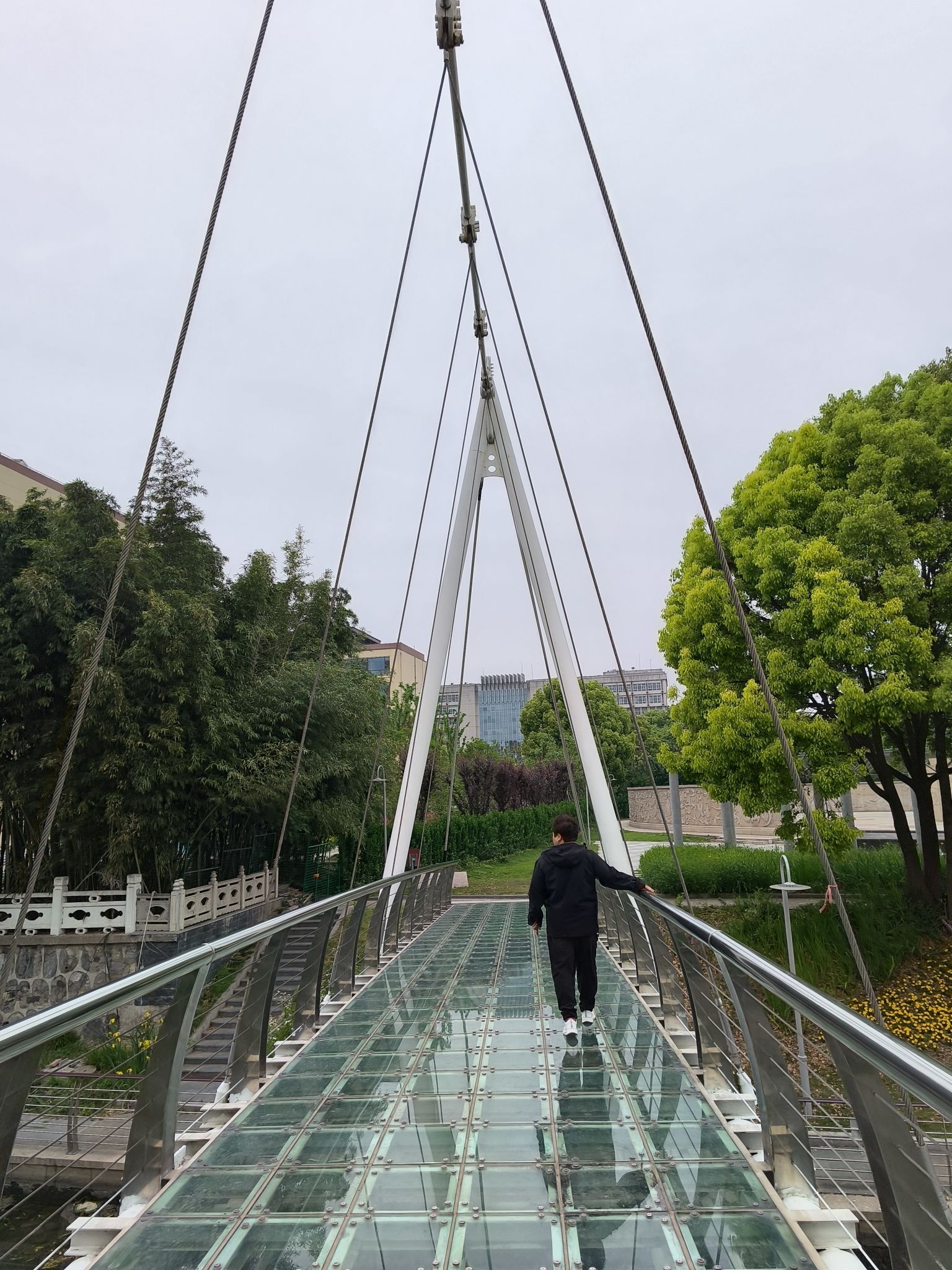 凤凰园旅行图片 2