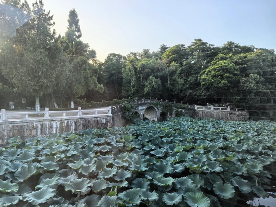 如皋古城旅行图片 2
