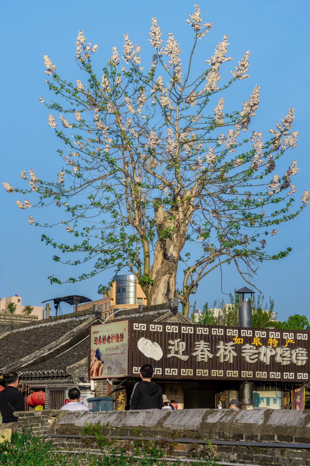 如皋古城旅行图片 3