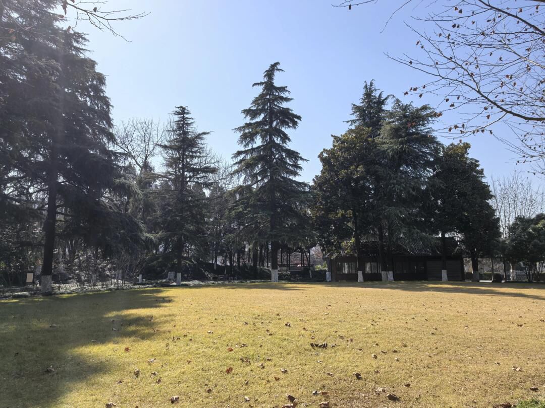 如皋古城旅行图片 1