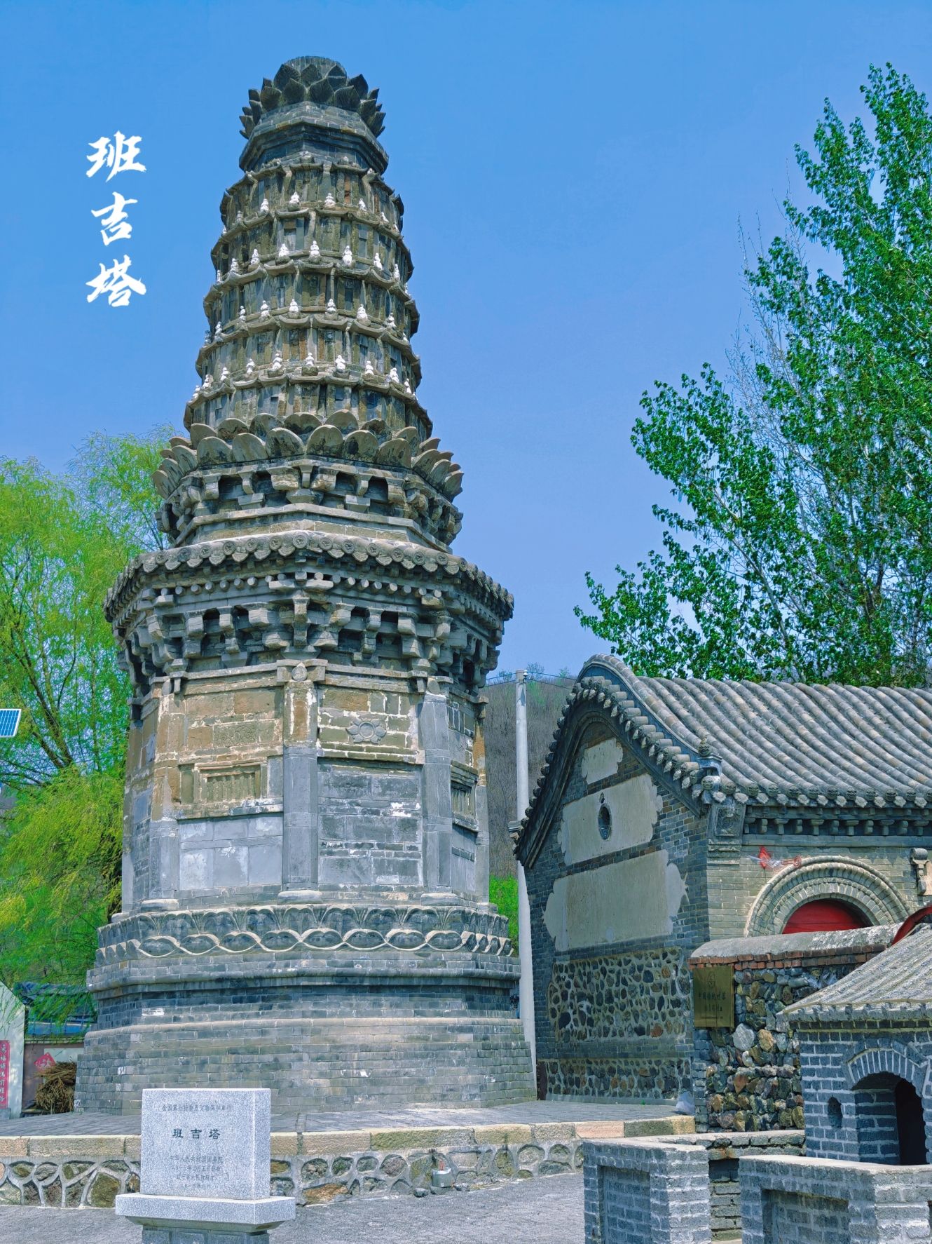 班吉塔旅行图片 1