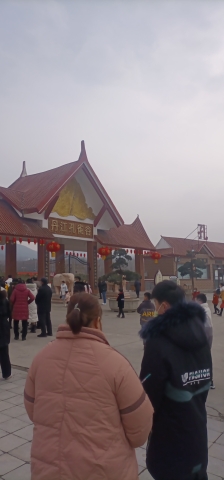 淅川县孔雀园旅行图片 3