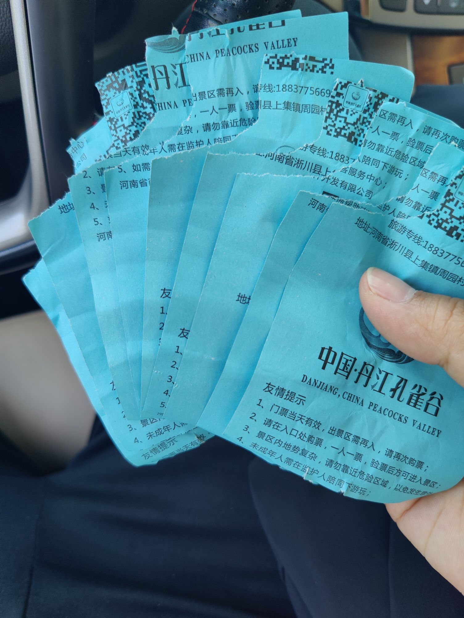 淅川县孔雀园旅行图片 1