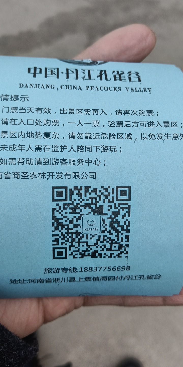 淅川县孔雀园旅行图片 3