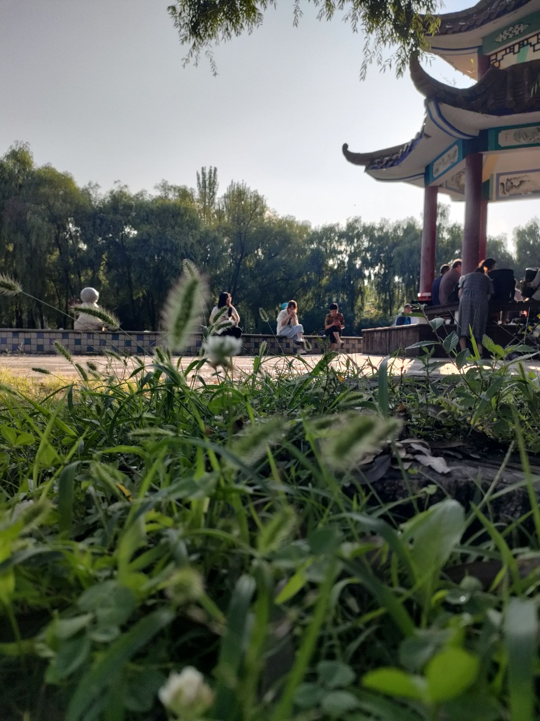 儿童公园