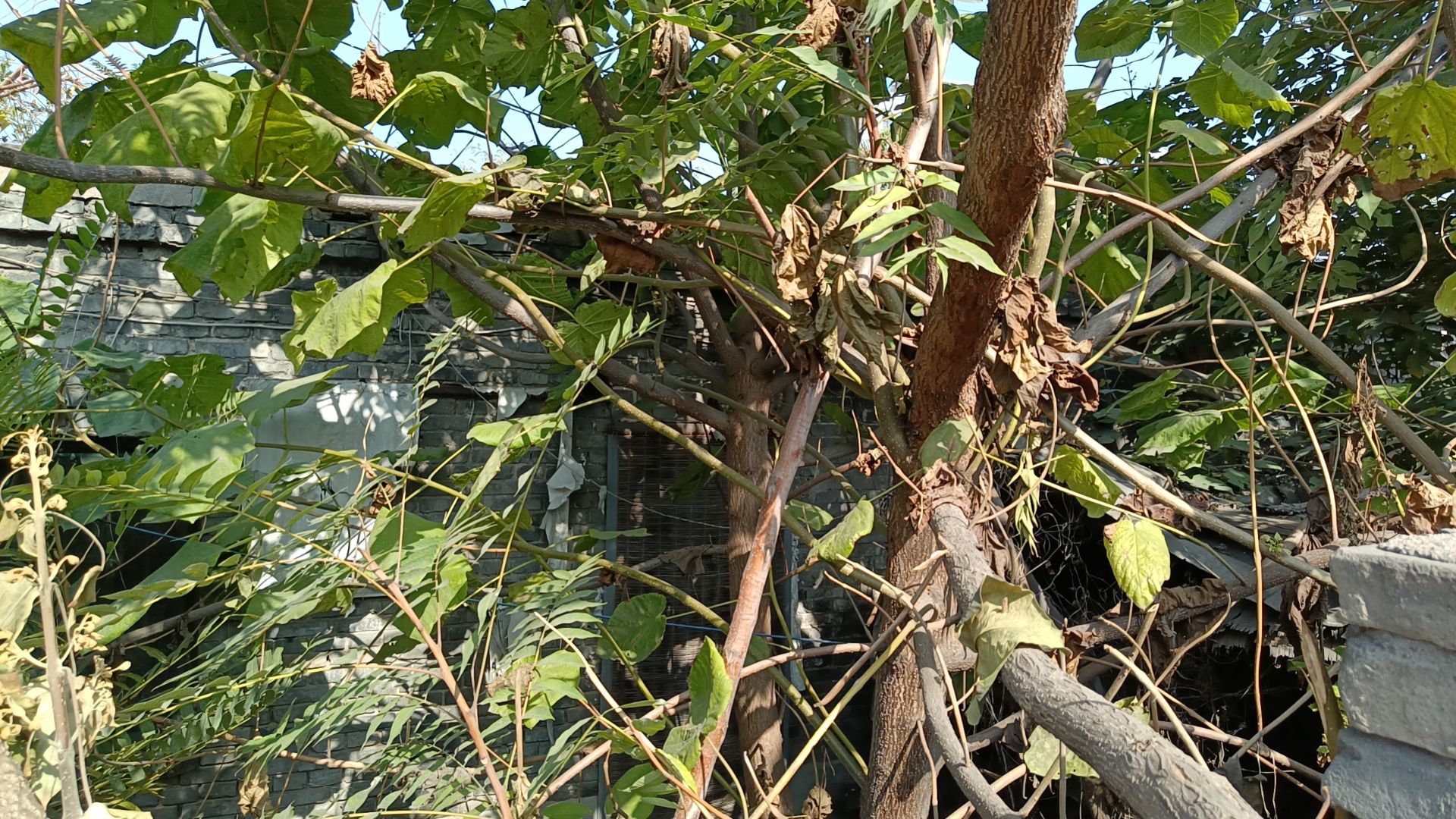 罗涧欲旅行图片 1