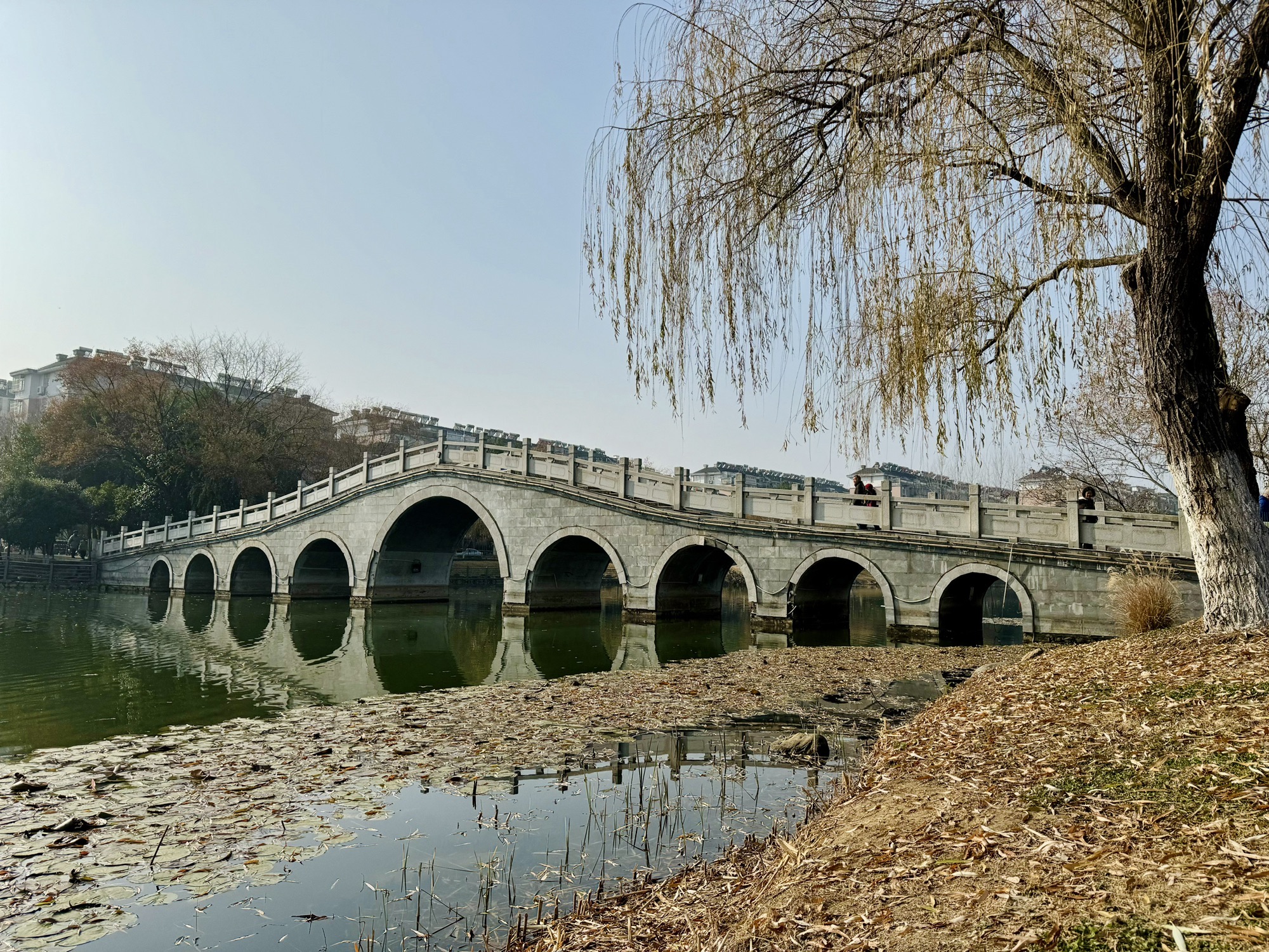 水上公园旅行图片 3