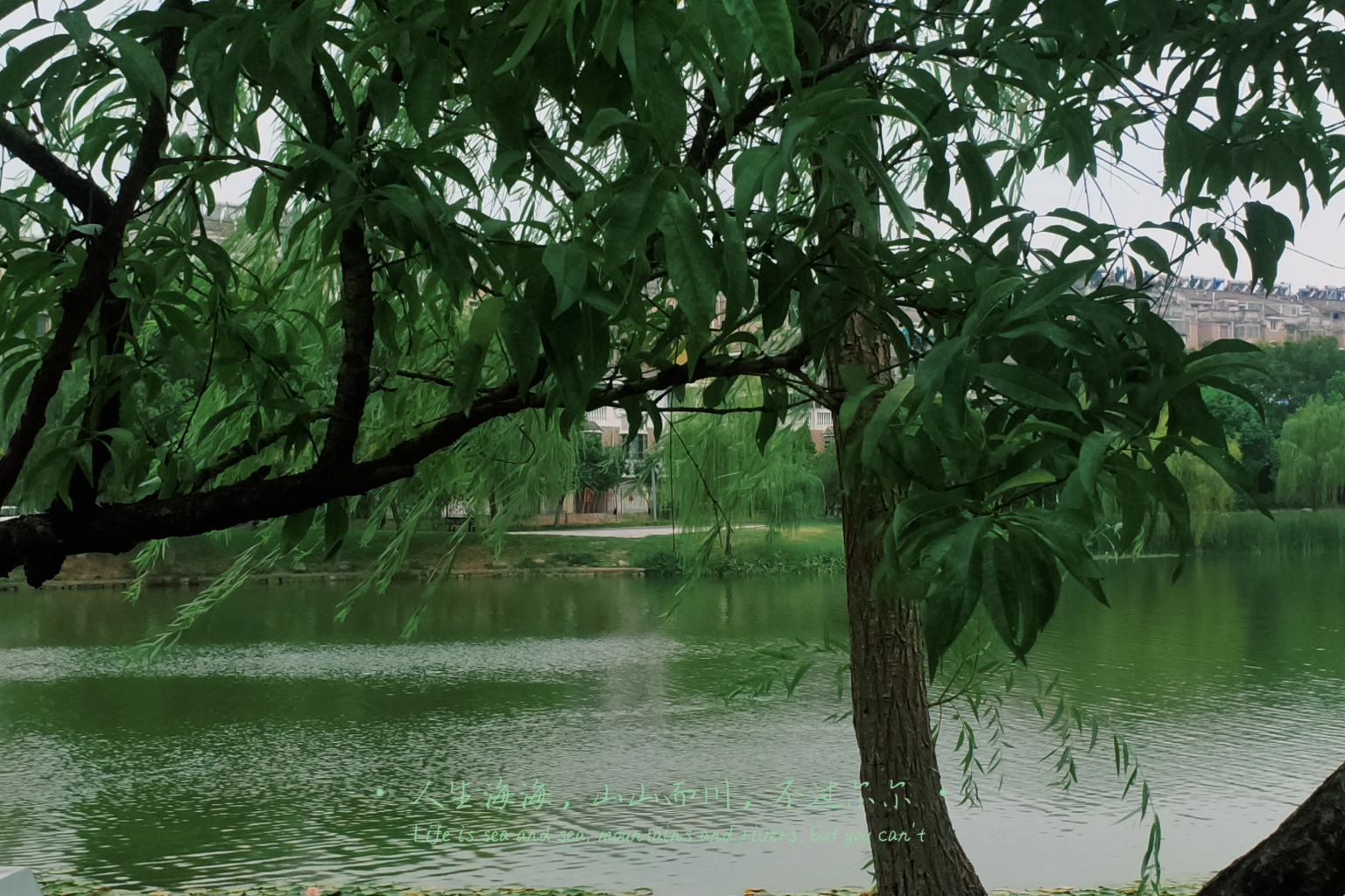 水上公园旅行图片 1