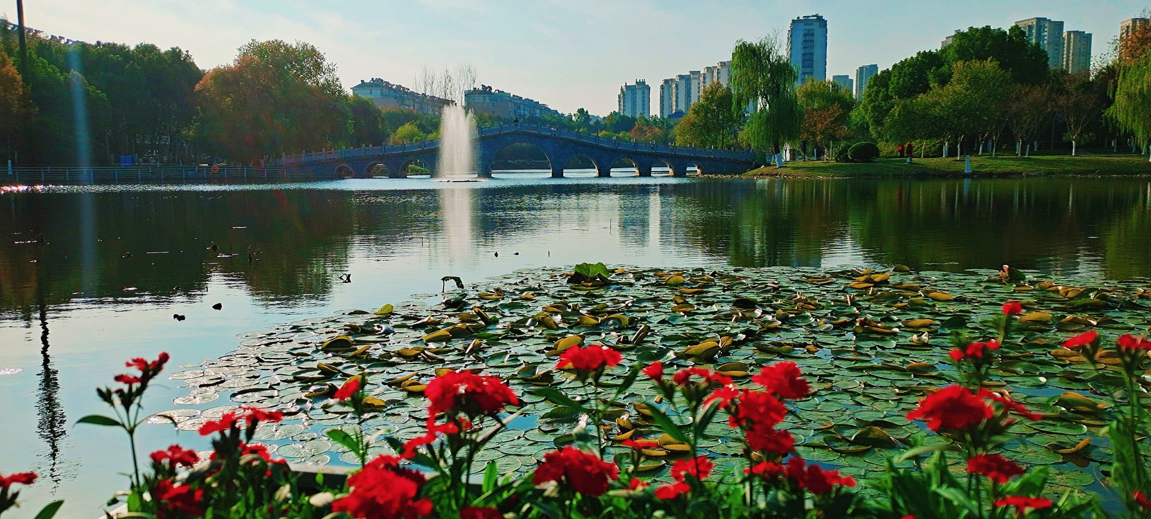 水上公园旅行图片 1