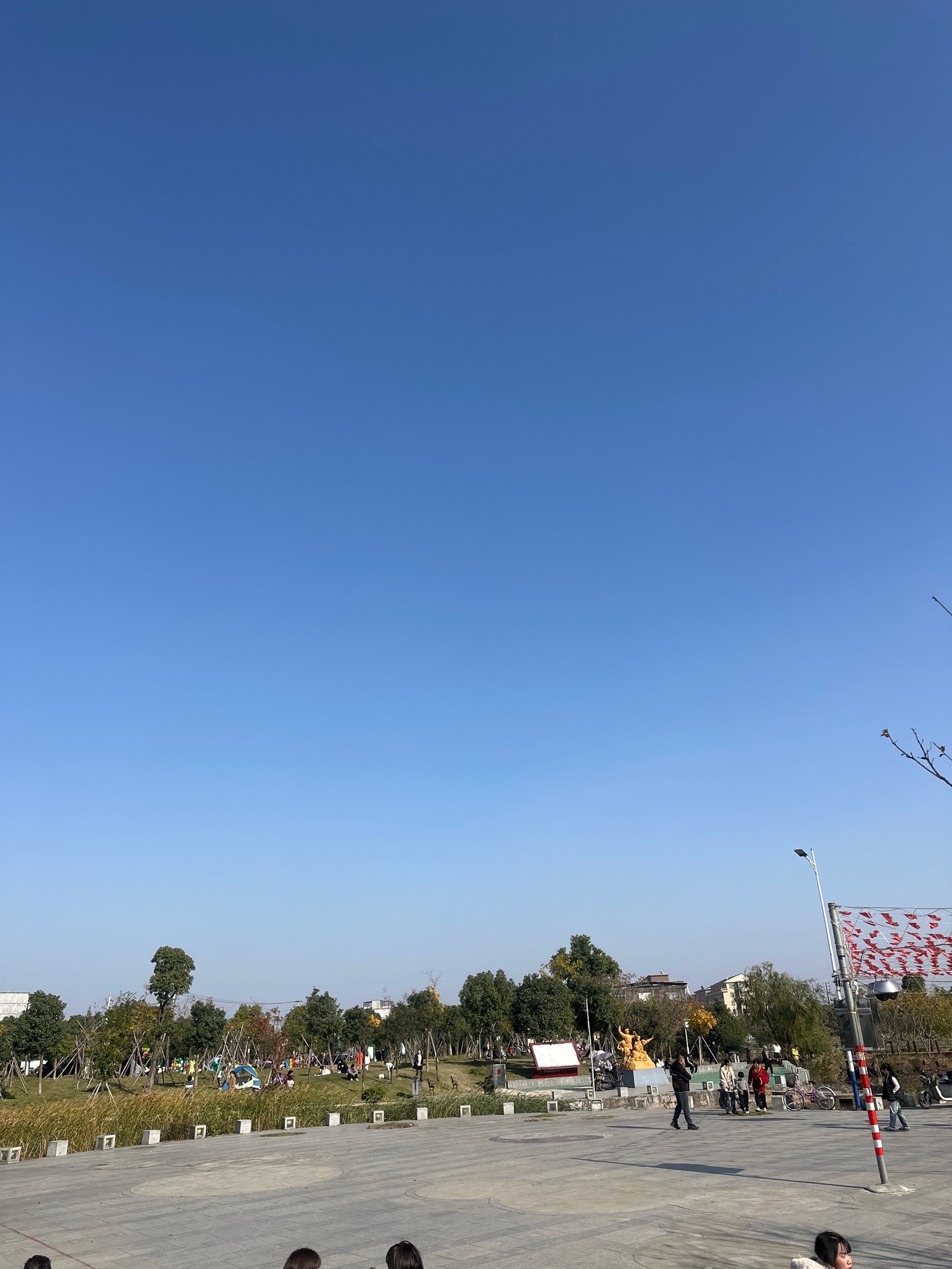 蓬街中心公园旅行图片 1