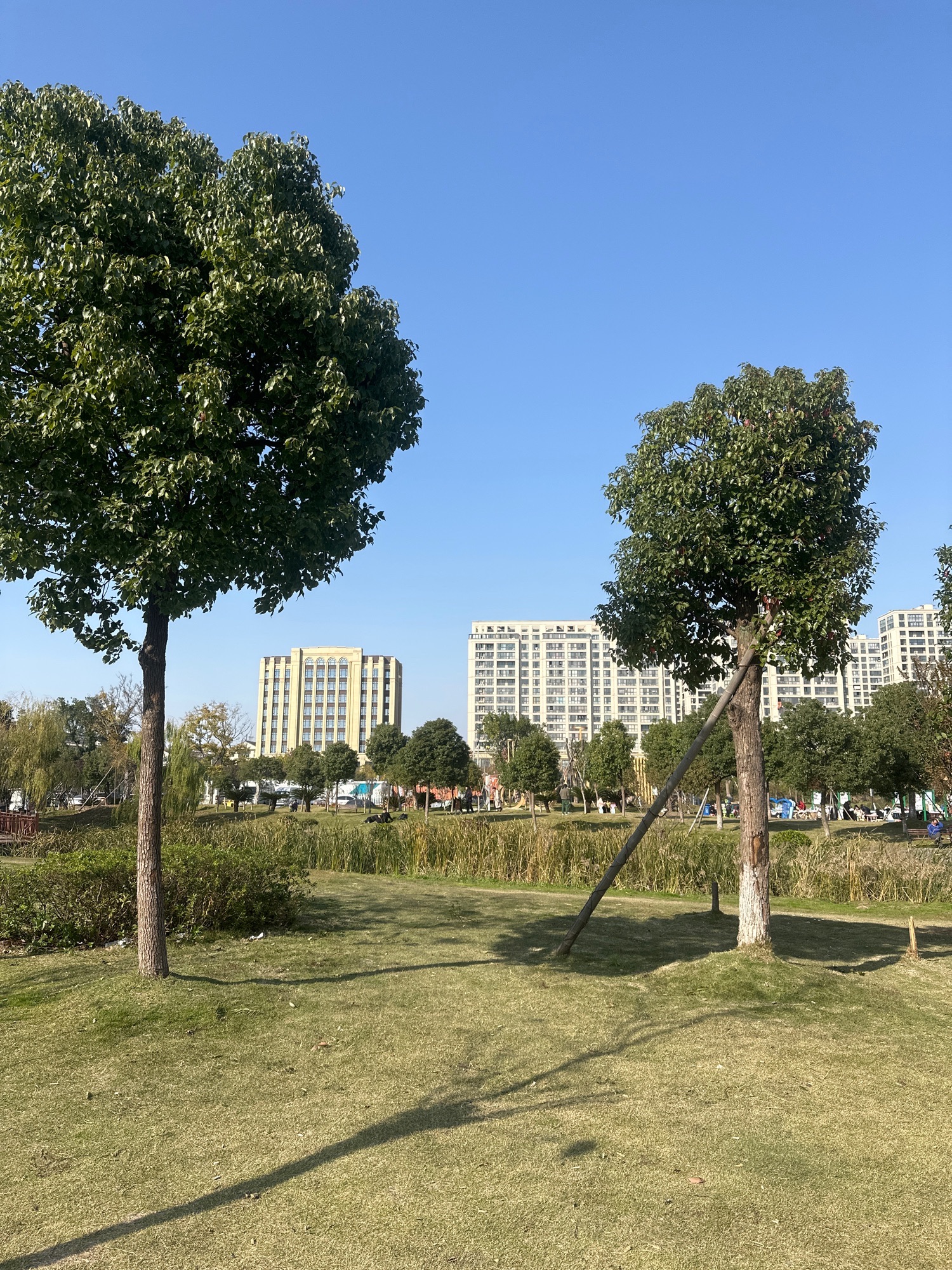 蓬街中心公园旅行图片 2