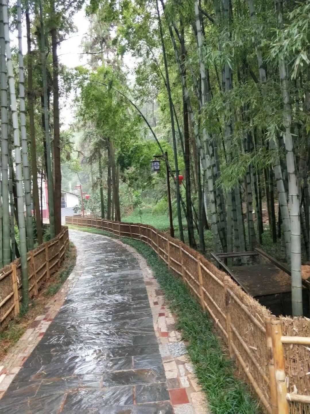 华家源4A景区旅行图片 3