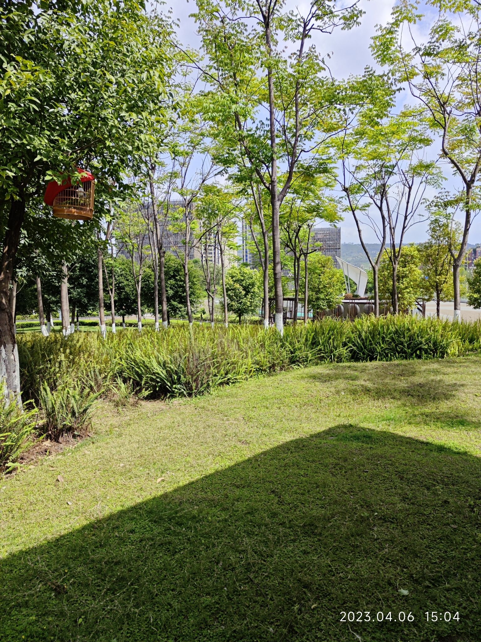 中央音乐公园旅行图片 2
