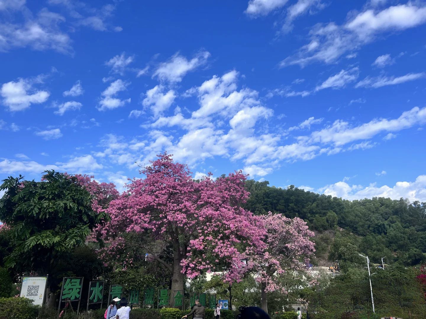 笔架山旅行图片 2