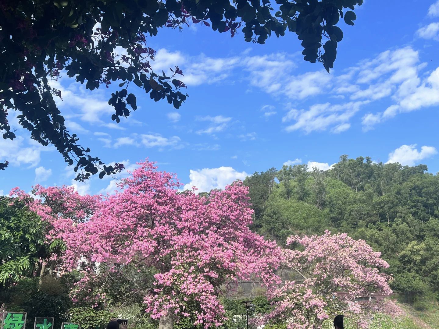 笔架山旅行图片 3