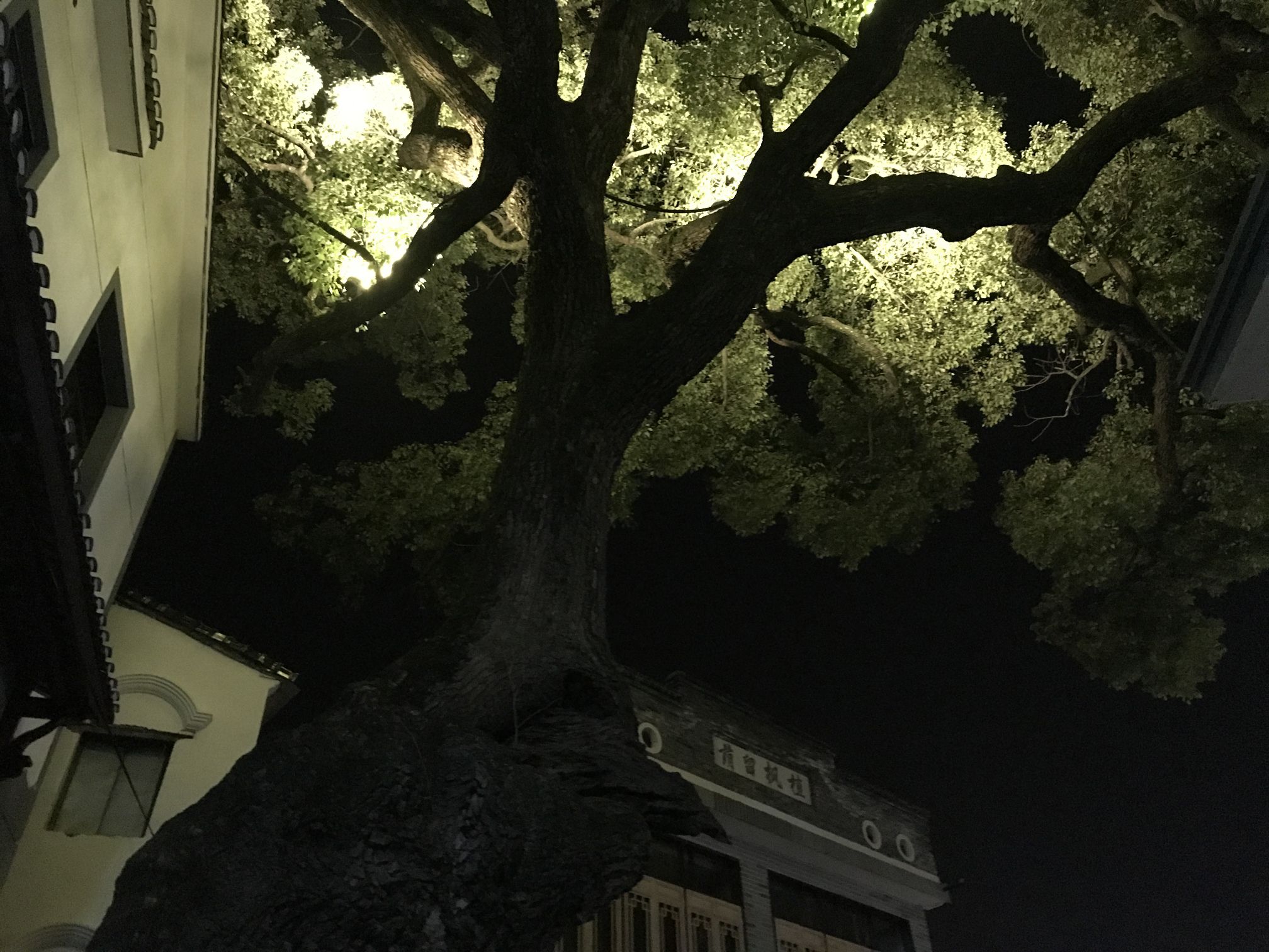 南屏旅游景区旅行图片 3