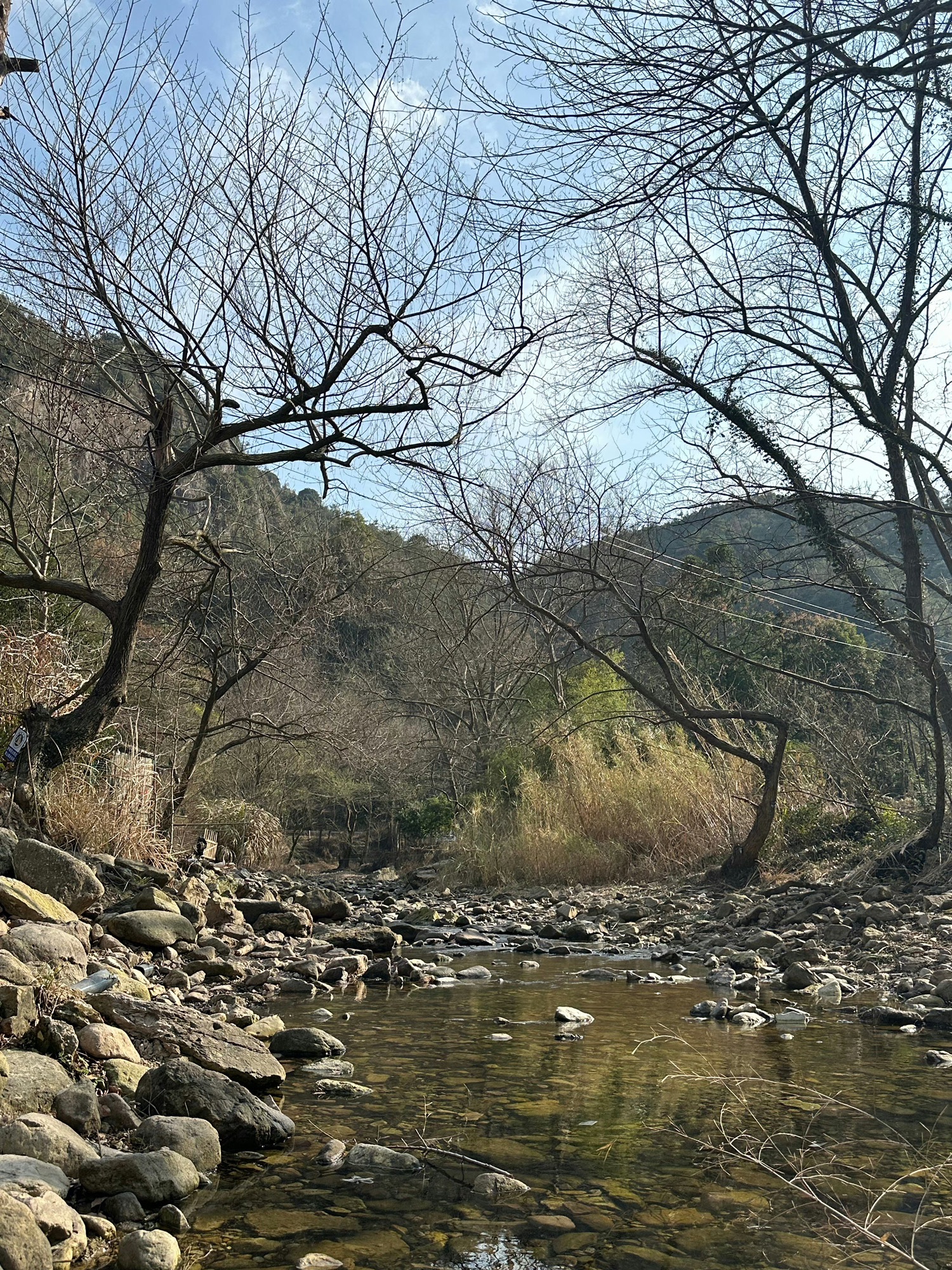 南屏旅游景区旅行图片 3