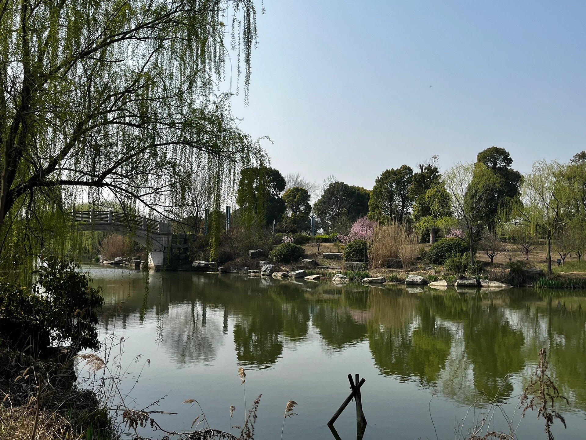 梅花湾旅行图片 1