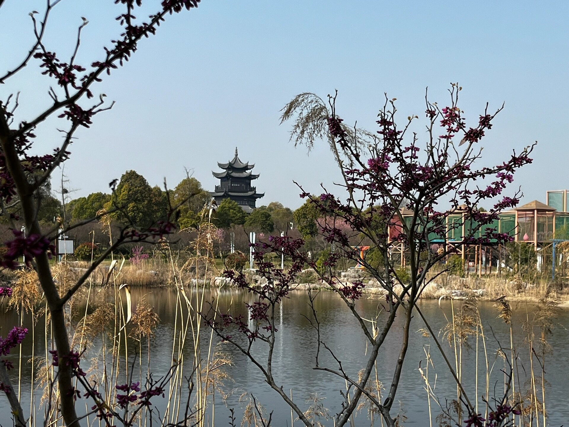 梅花湾旅行图片 3