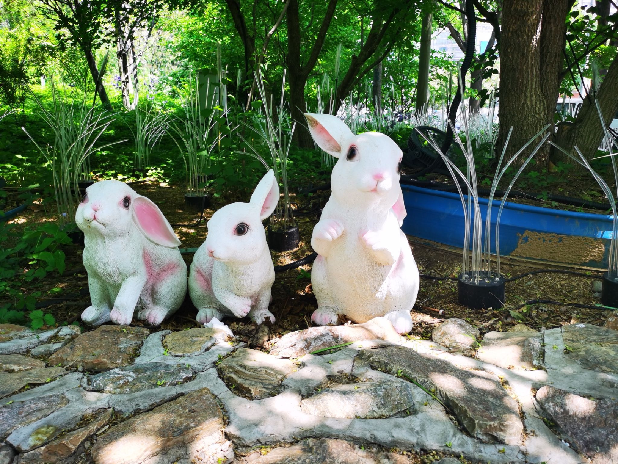 广阳谷城市森林旅行图片 1